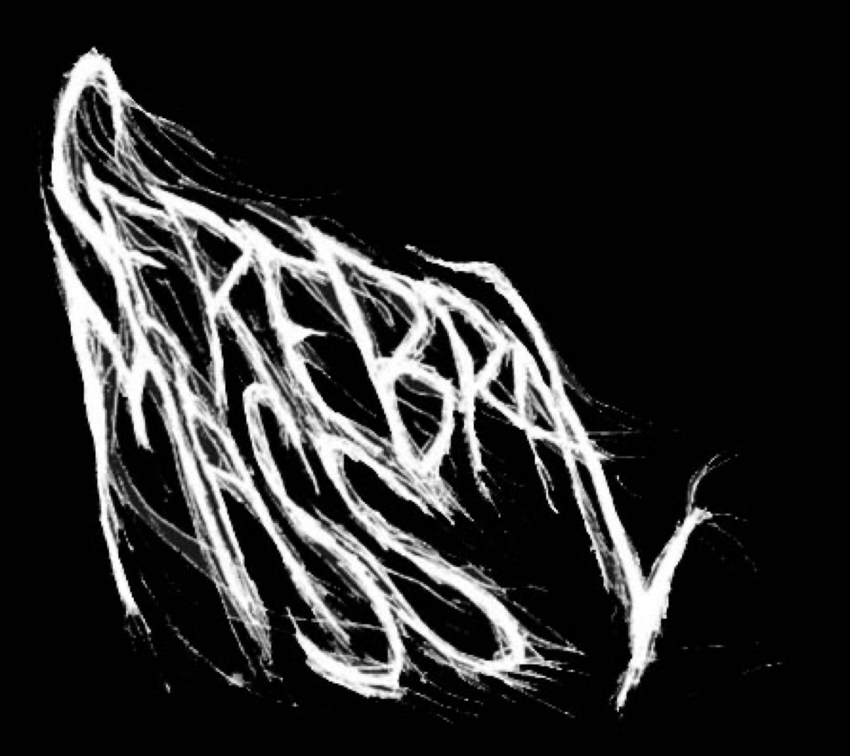 Cerebral Mass