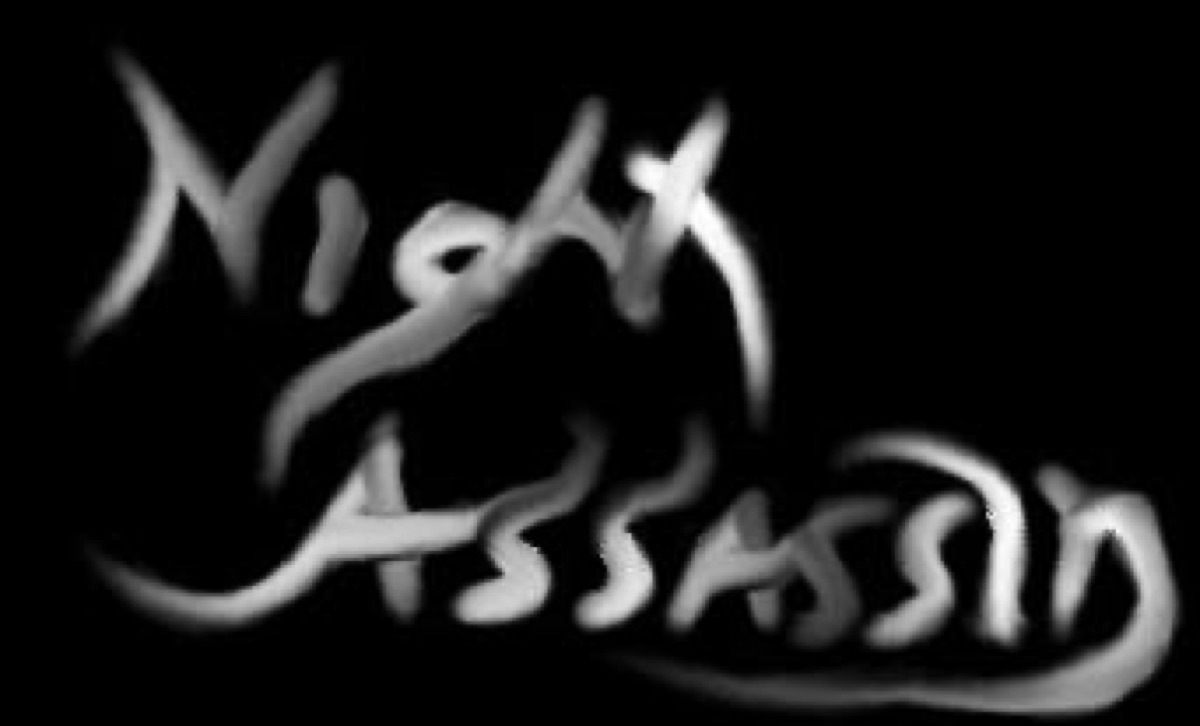 Night Assassin