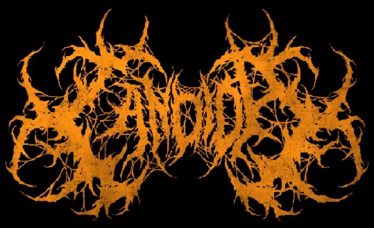 Candida