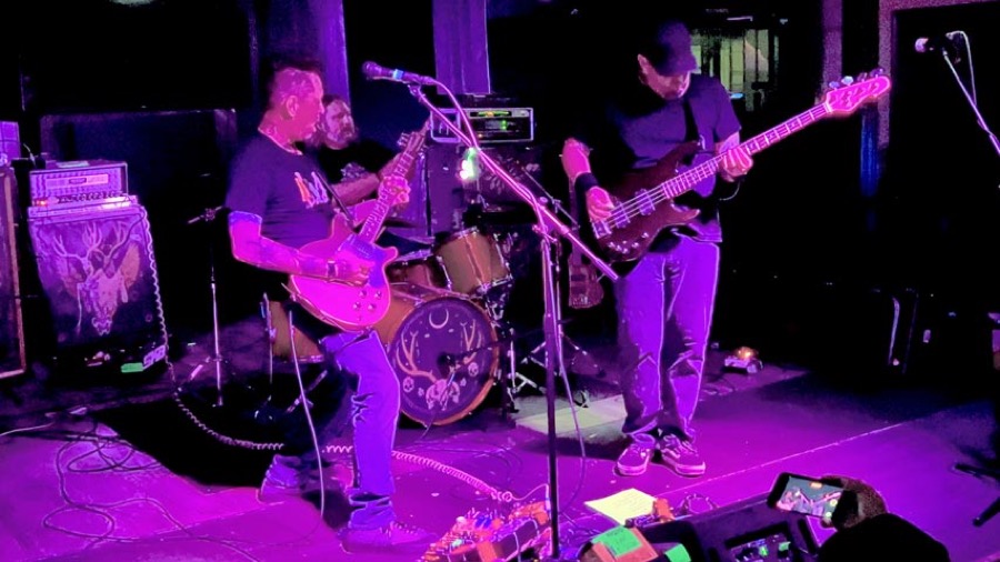 Woorms live