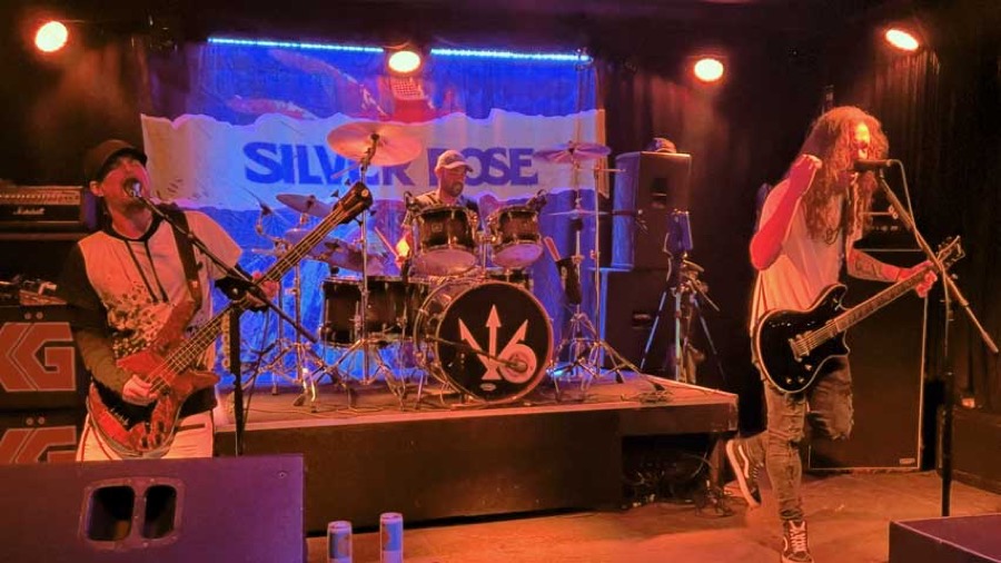 Silver Dose live